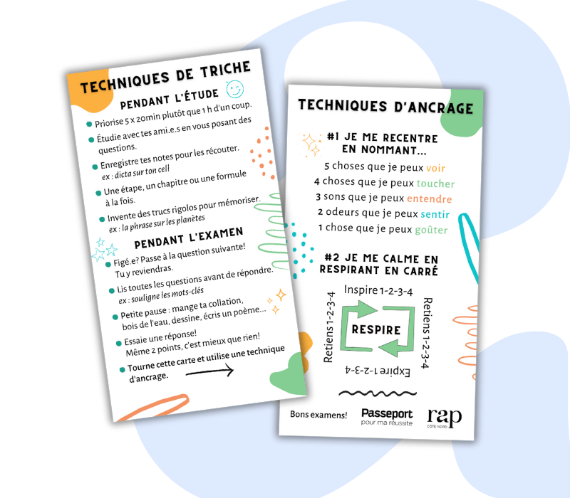 Vignettes Site Web Rap Carte Triche