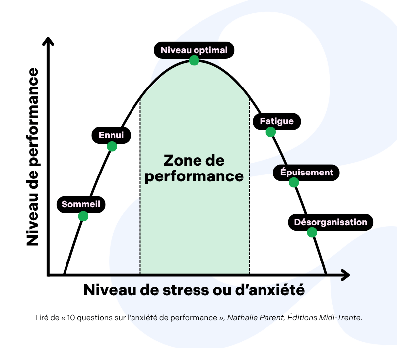Vignettes Site Web Rap Stress Examens1